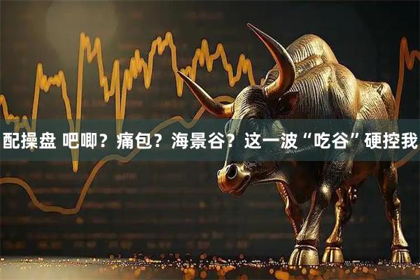 配操盘 吧唧？痛包？海景谷？这一波“吃谷”硬控我