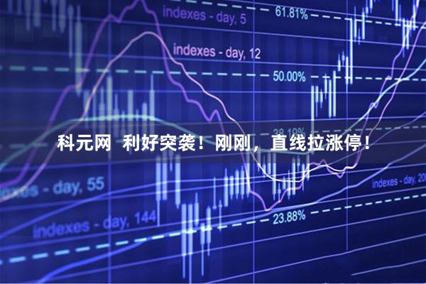 科元网  利好突袭！刚刚，直线拉涨停！