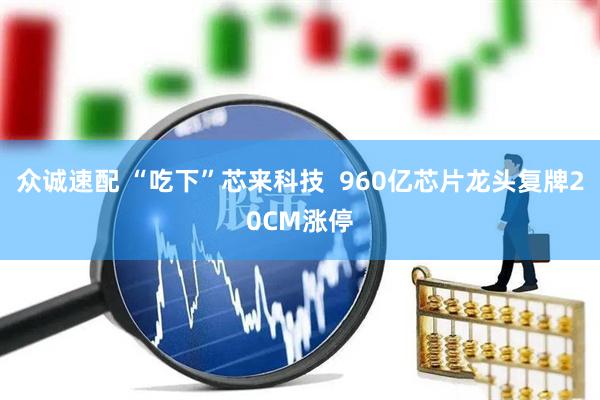 众诚速配 “吃下”芯来科技  960亿芯片龙头复牌20CM涨停