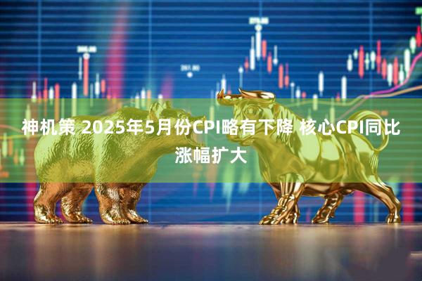 神机策 2025年5月份CPI略有下降 核心CPI同比涨幅扩大