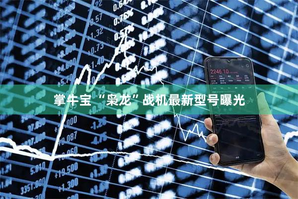 掌牛宝 “枭龙”战机最新型号曝光