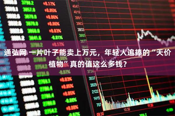 通弘网 一片叶子能卖上万元，年轻人追捧的“天价植物”真的值这么多钱？
