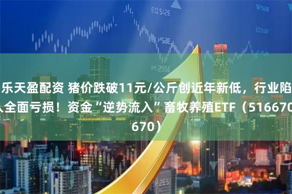 乐天盈配资 猪价跌破11元/公斤创近年新低，行业陷入全面亏损！资金“逆势流入”畜牧养殖ETF（516670）