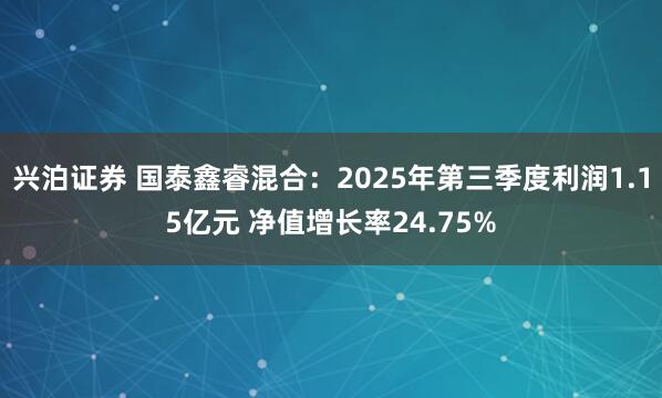 兴泊证券 国泰鑫睿混合：2025年第三季度利润1.15亿元 净值增长率24.75%