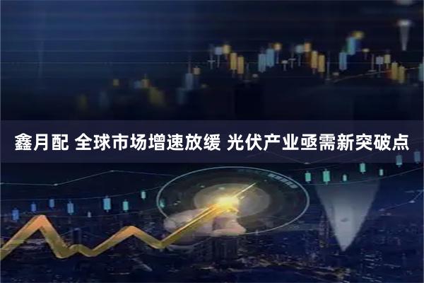 鑫月配 全球市场增速放缓 光伏产业亟需新突破点