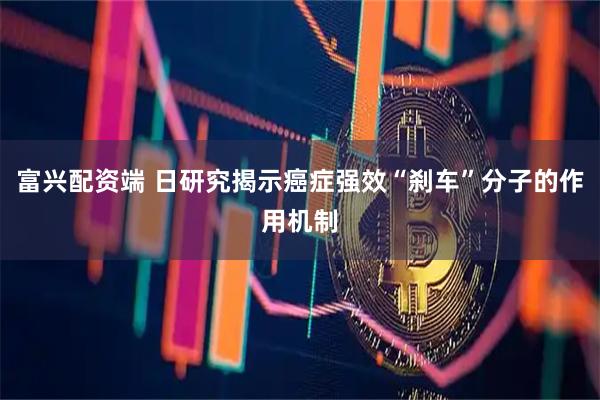 富兴配资端 日研究揭示癌症强效“刹车”分子的作用机制