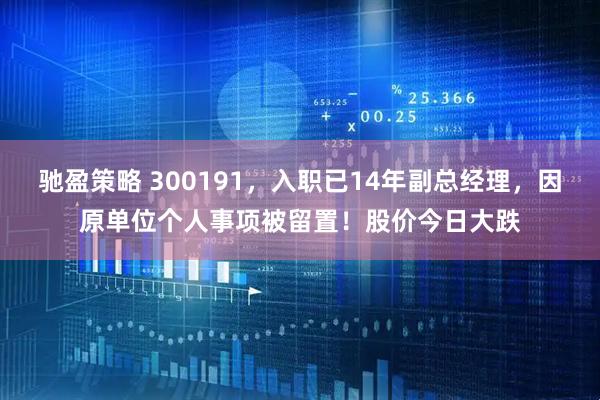 驰盈策略 300191，入职已14年副总经理，因原单位个人事项被留置！股价今日大跌