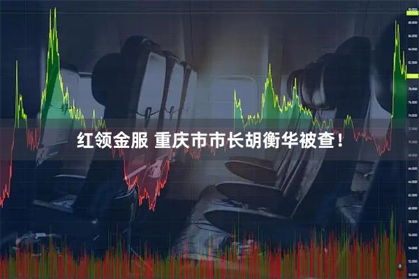 红领金服 重庆市市长胡衡华被查！
